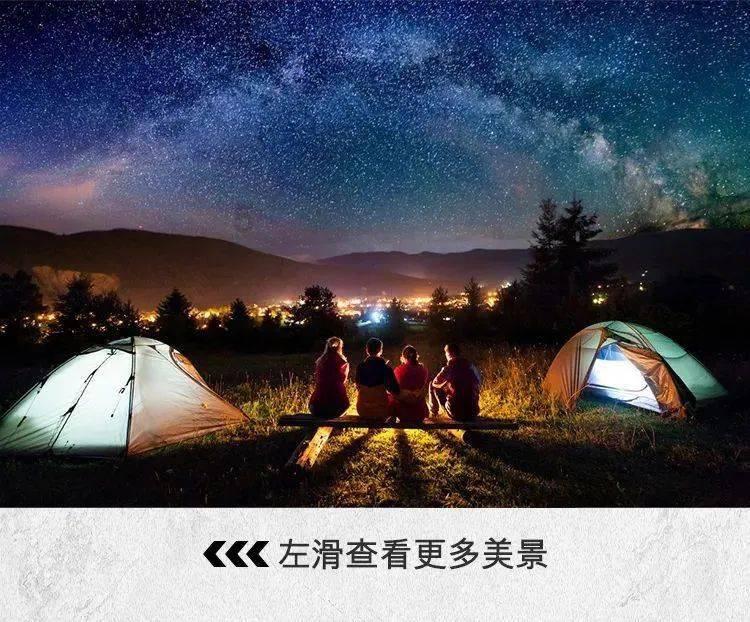 五彩鹦鹉救援