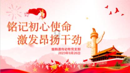 A乘B等于28，神舟什么是什么和什么的被数？游戏画面