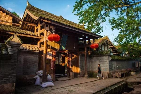帕金森病人为什么需要“多运动”？发现运动的秘密？