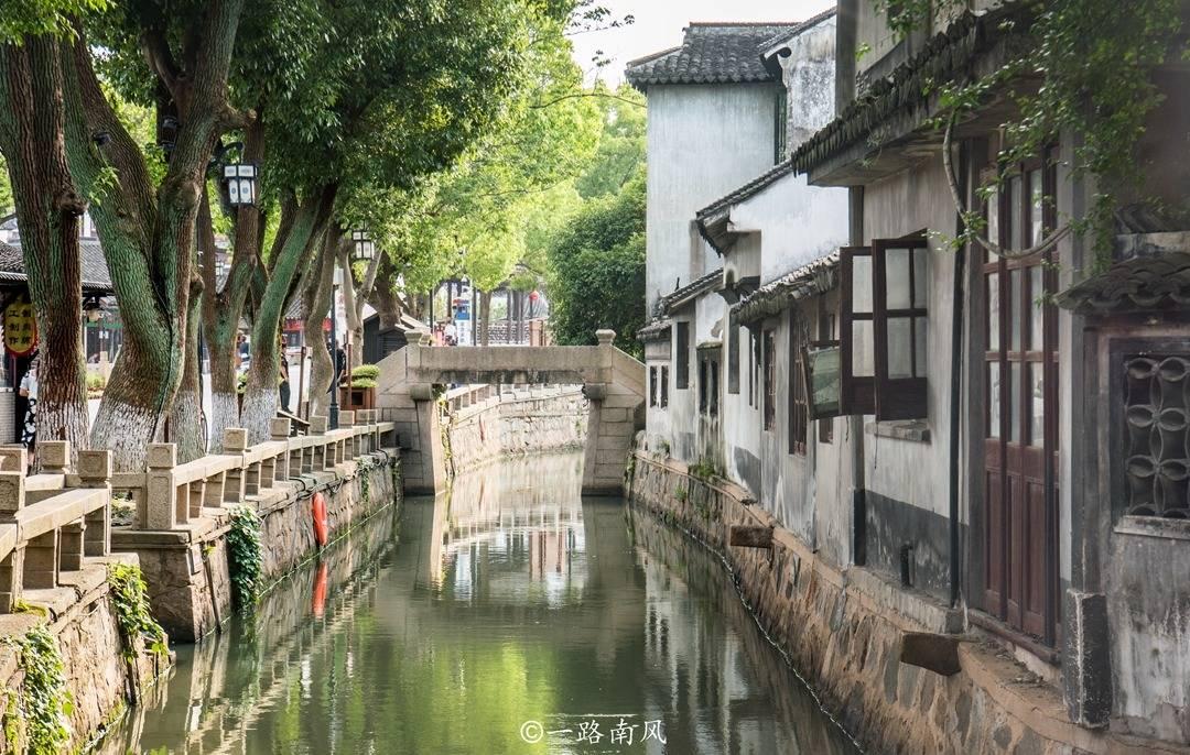 舌尖上的年味 又酥又甜的豆沙春卷