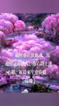 寻找萌小老虎
